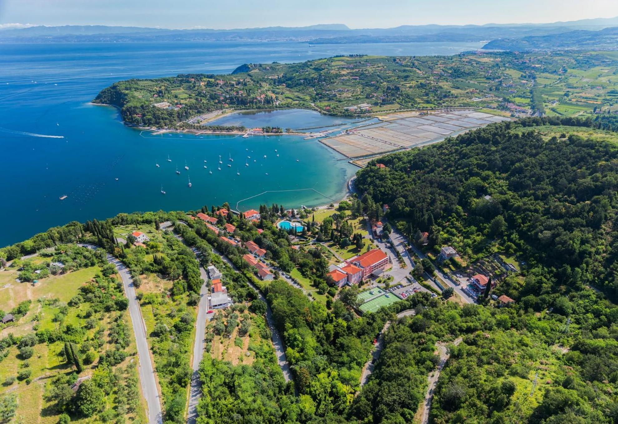 Sea View Apartment Renzzo Strunjan Exteriör bild