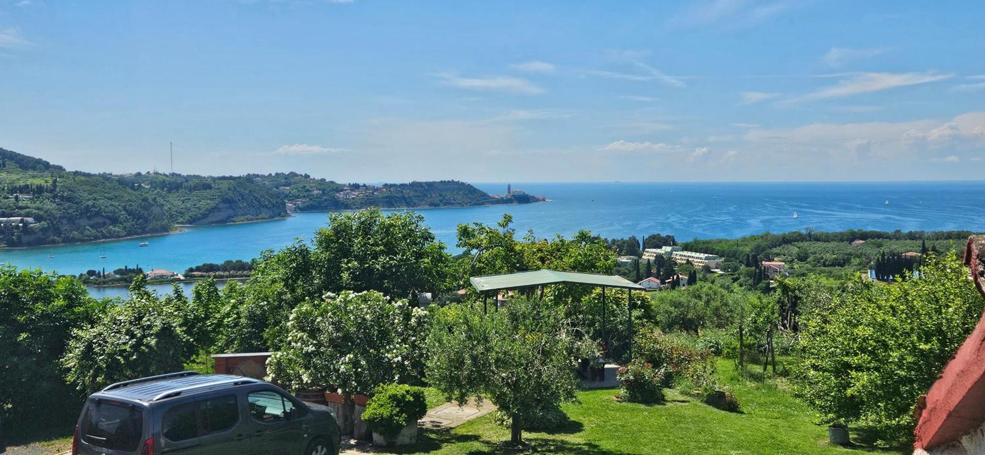 Sea View Apartment Renzzo Strunjan Exteriör bild