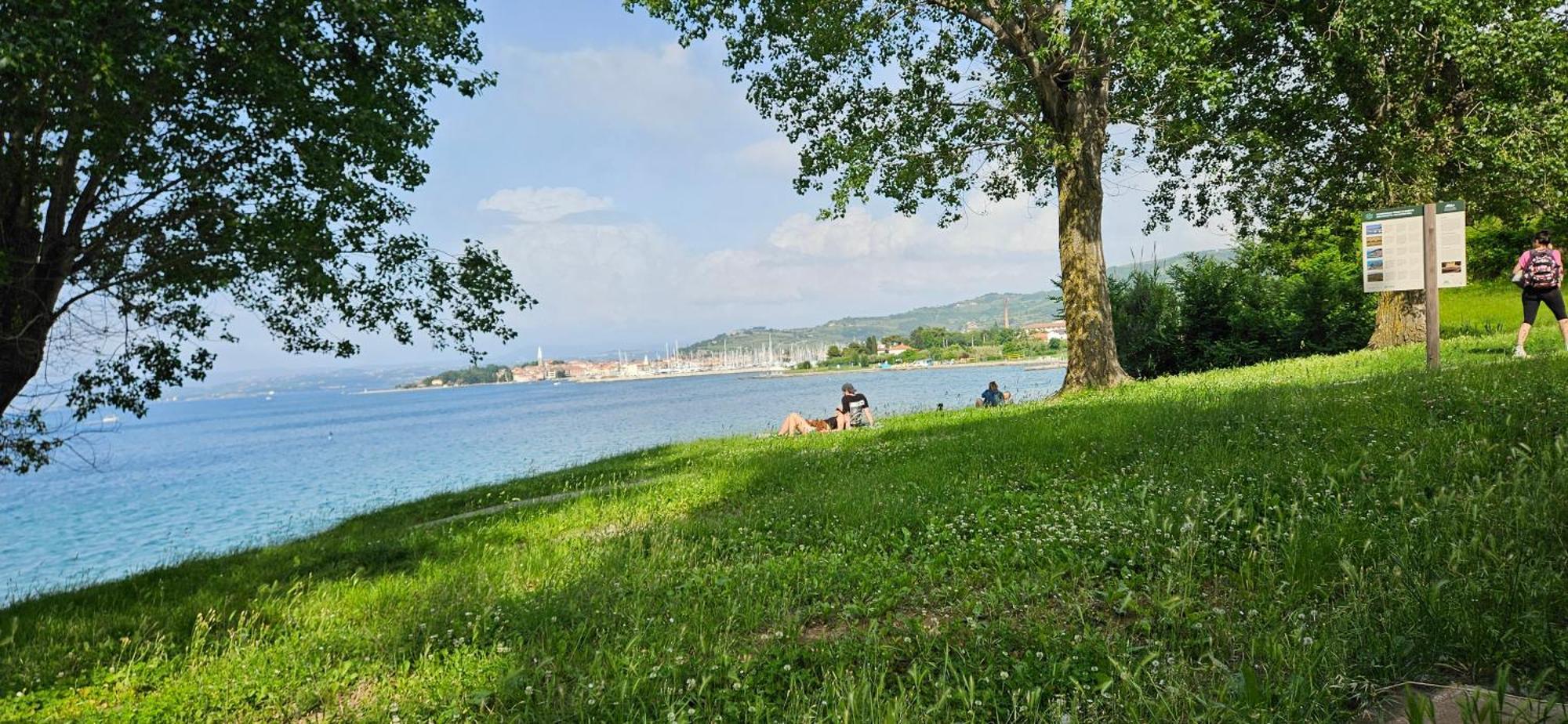 Sea View Apartment Renzzo Strunjan Exteriör bild