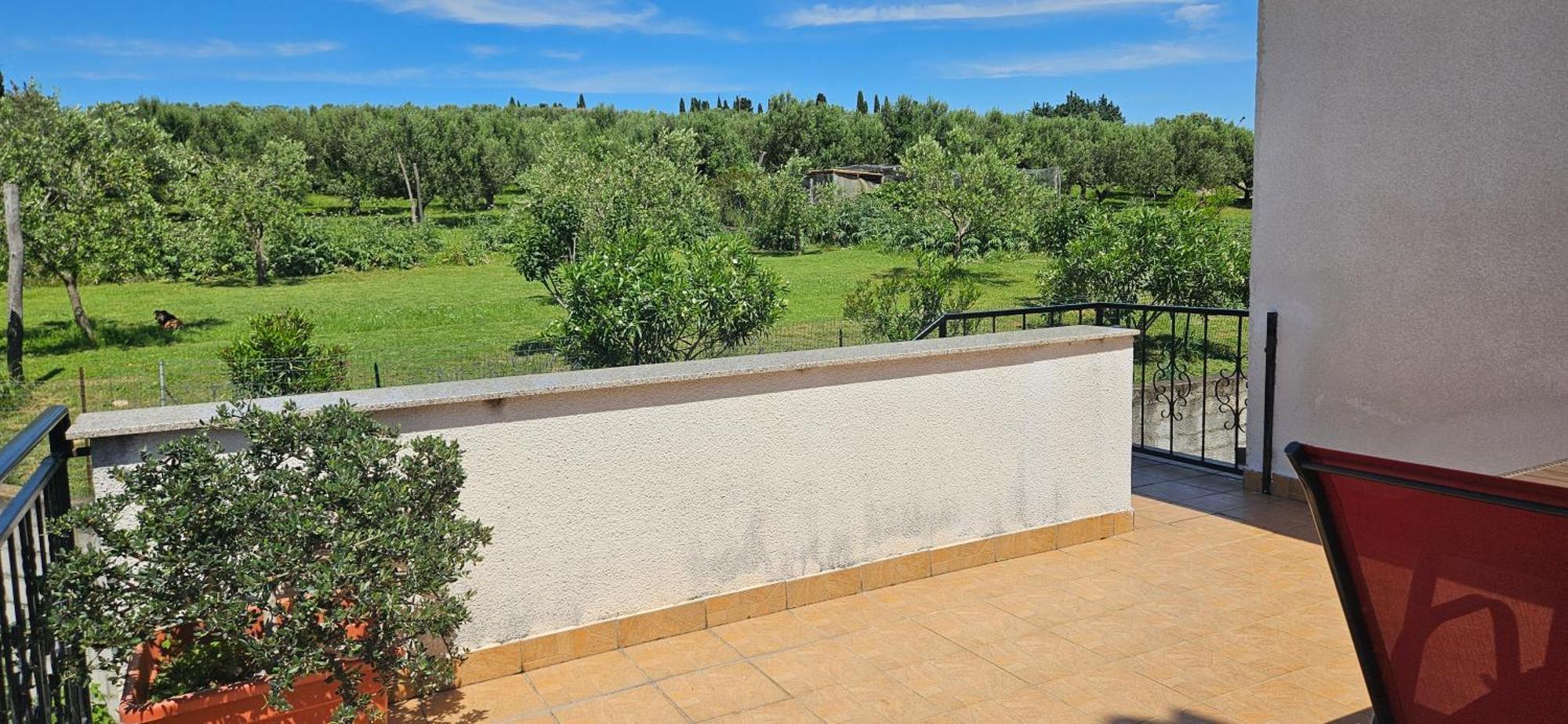 Sea View Apartment Renzzo Strunjan Exteriör bild